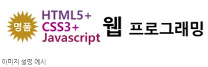 이미지 설명 예시