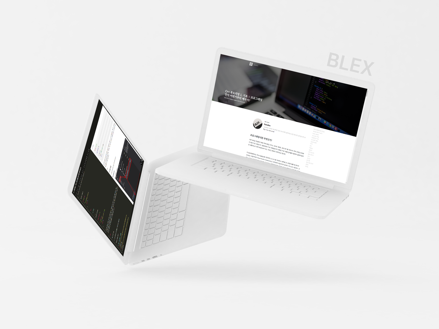 나를 표현하는 블로그 : BLEX