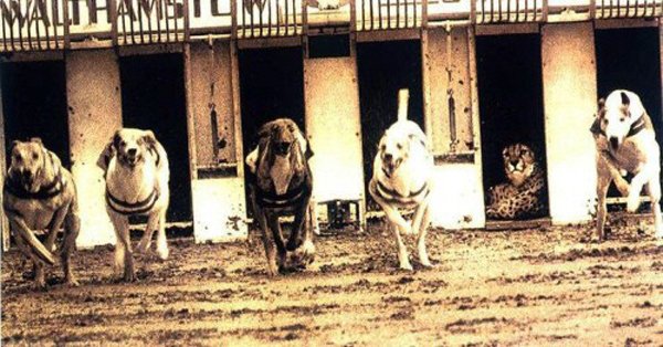 한 달 안에 취업하기 #9